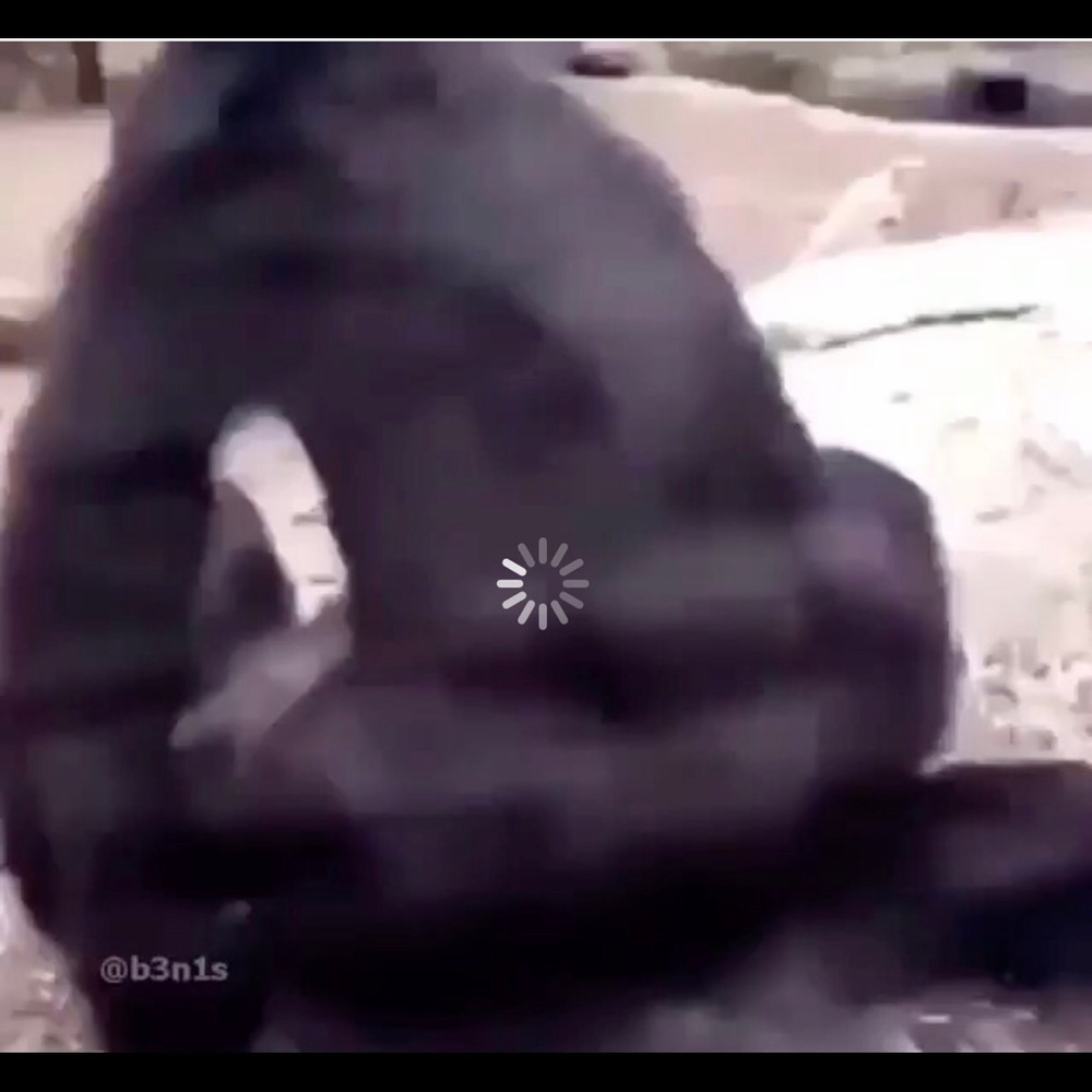 He be smashing every thing